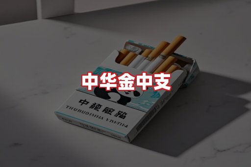中华金中支
